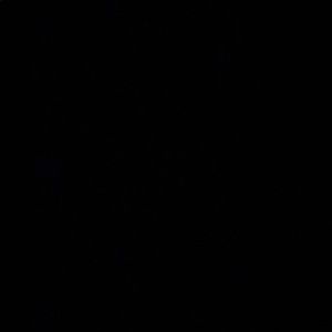 Meet your Posher, Gael